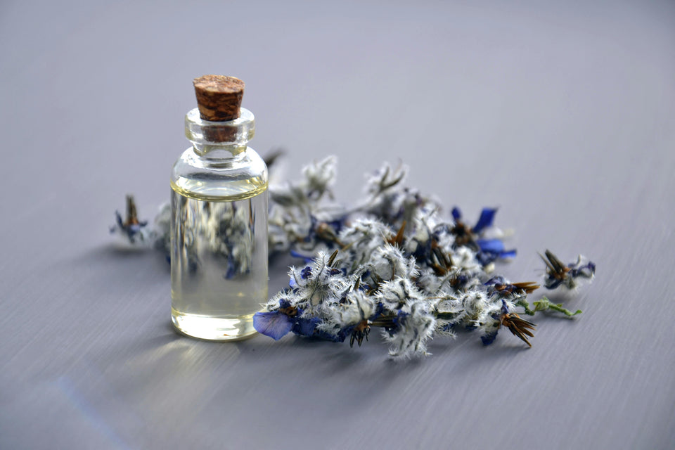 Fragrance Fundamentals: How to Find Your Signature Scent